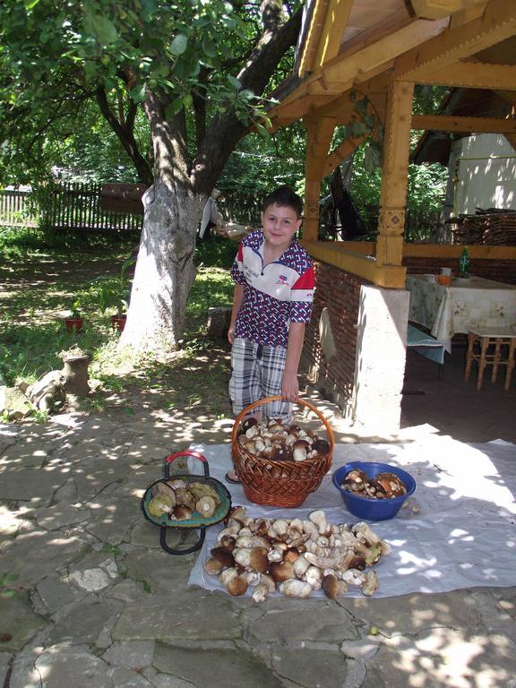 Guesthouse U Dida Viktora Yaremche Exterior foto